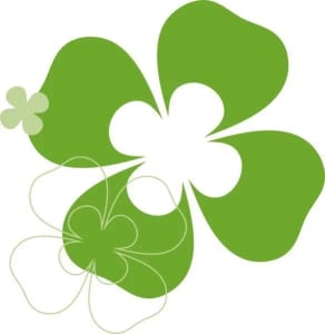 SaL-Dienstleistungs GmbH