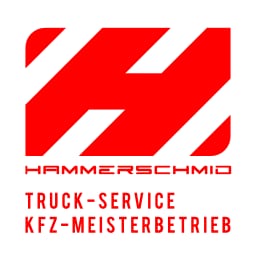 Reparaturwerkstätte Hammerschmid GmbH & Co. KG | KFZ- Service