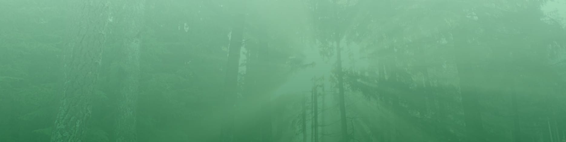 Tannen-Müller GmbH cover image