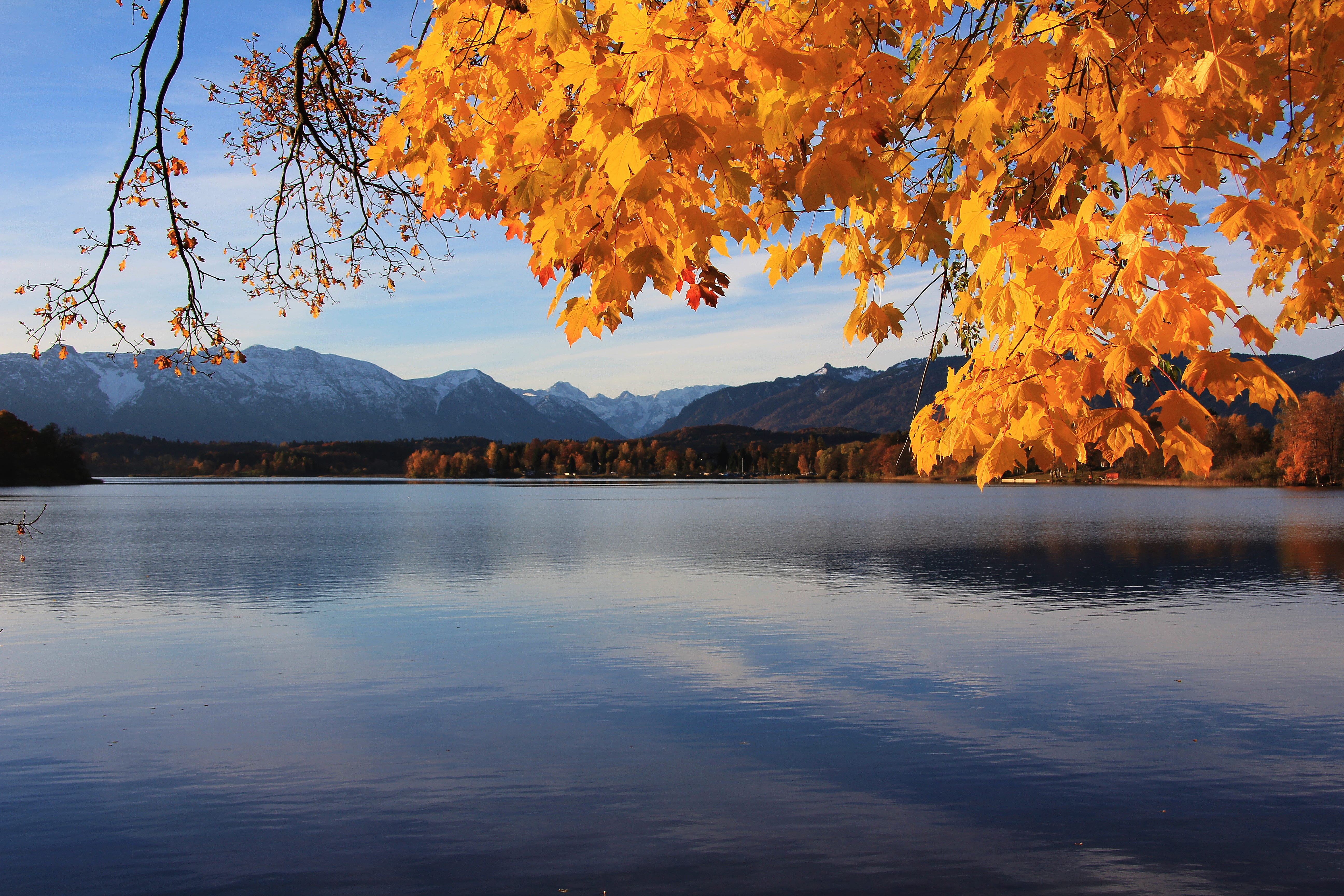 Seerestaurant Alpenblick cover image
