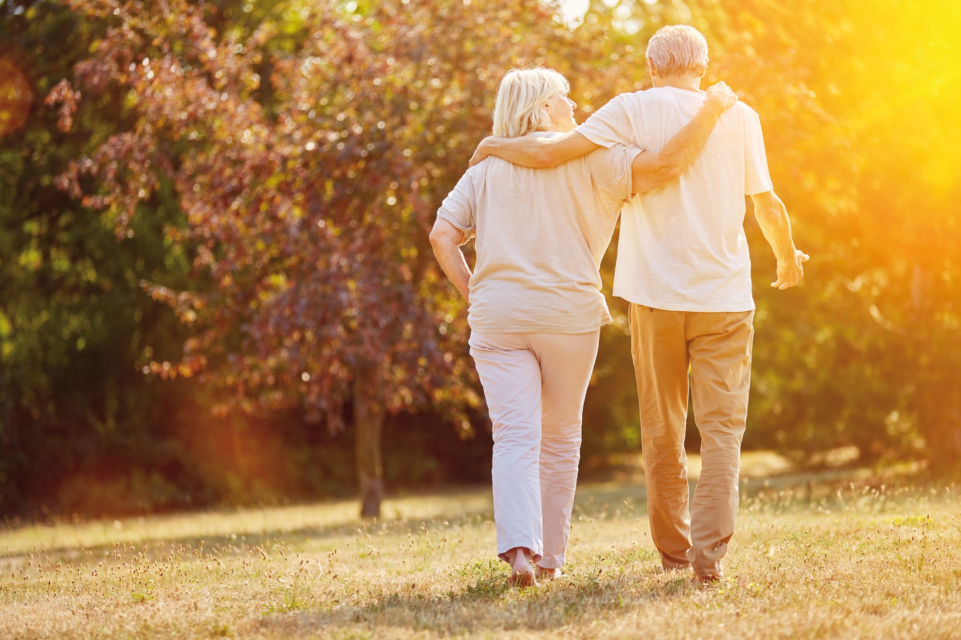 Care Pflegegesellschaft mbH cover image