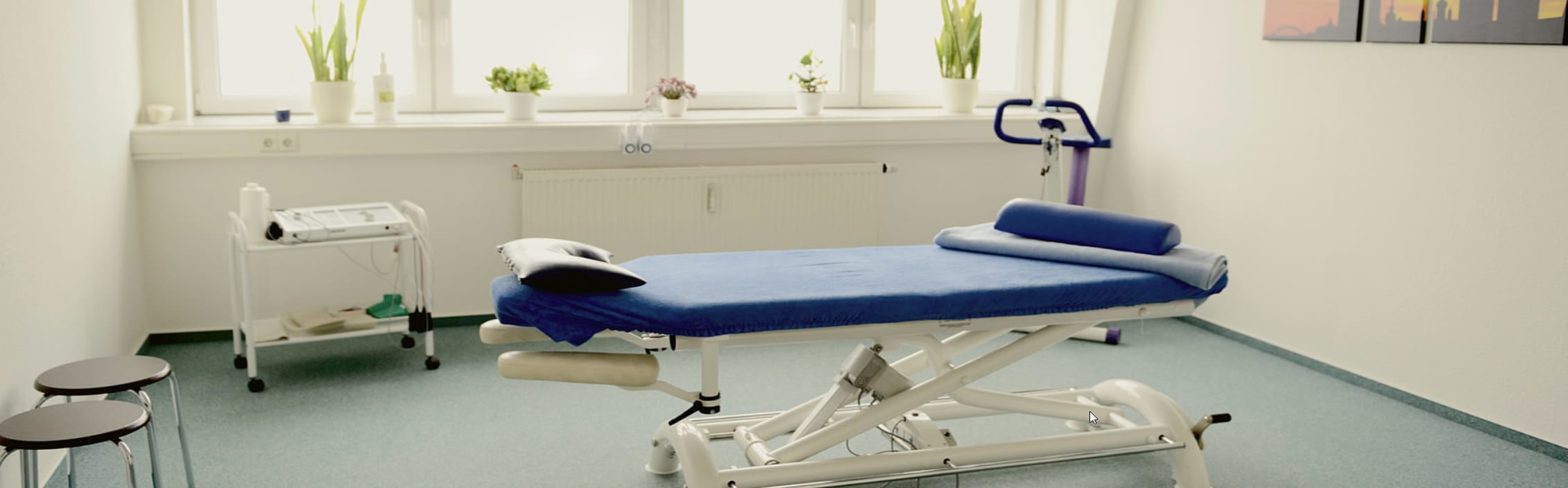 Peggy  Hoischen  Physio- u. Ergotherapie cover image