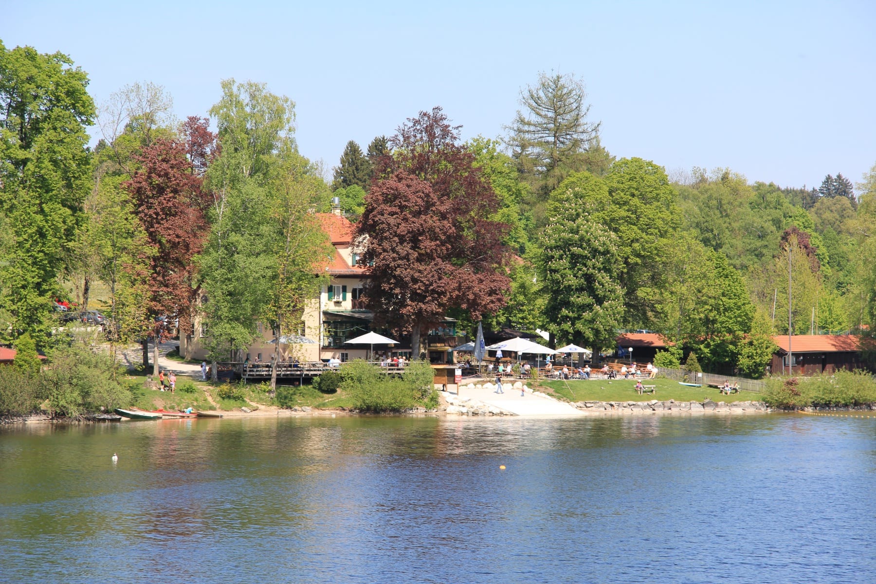 Impression 6