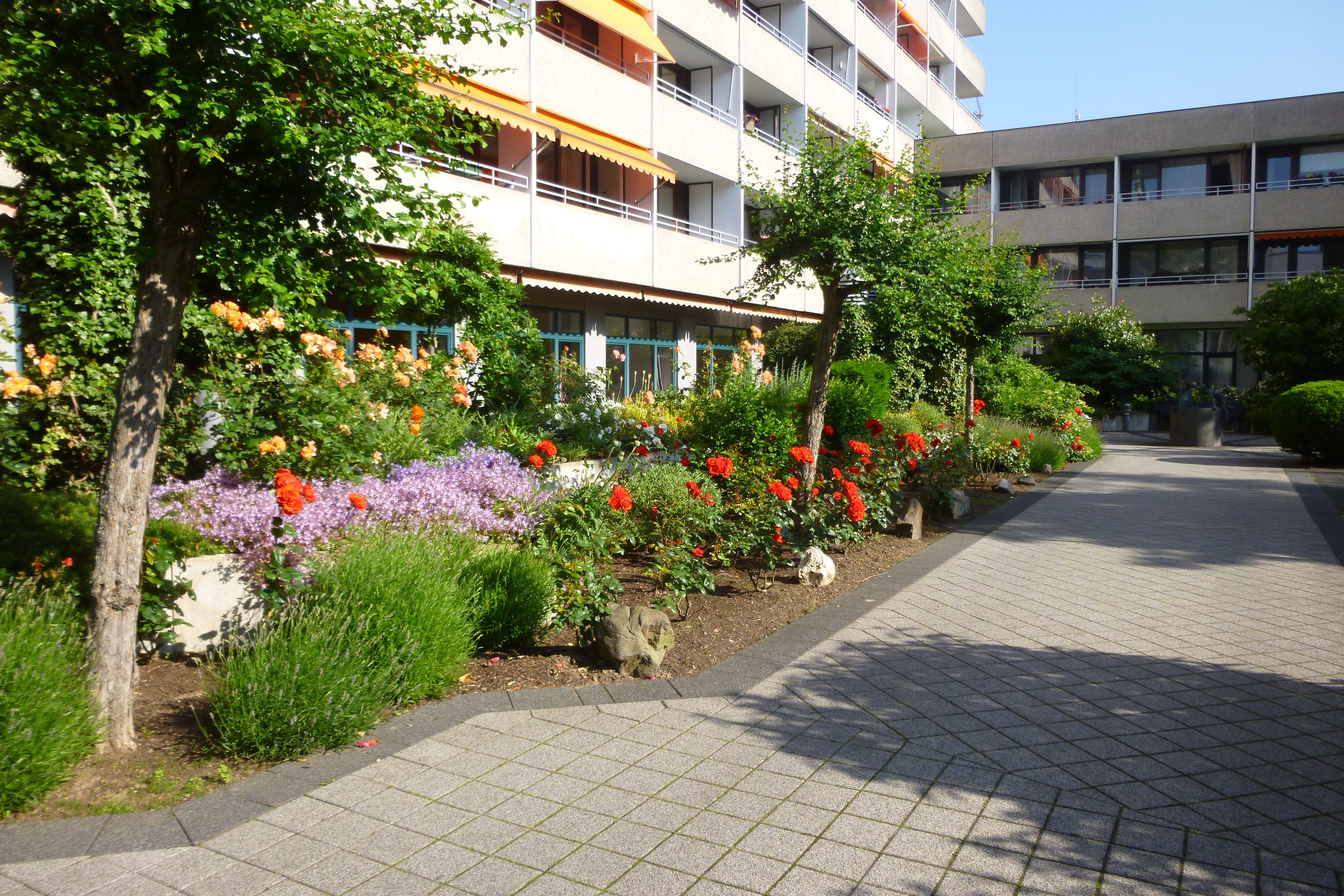 Senioren-Wohnheim Brühl gGmbH cover image