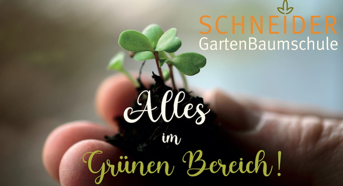 Jörg Schneider - Gartenbaumschule Schneider cover image