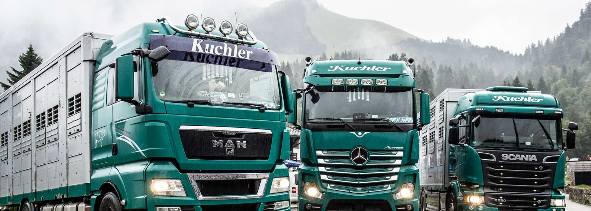 Ludwig Kuchler e.K. Viehtransporte cover image