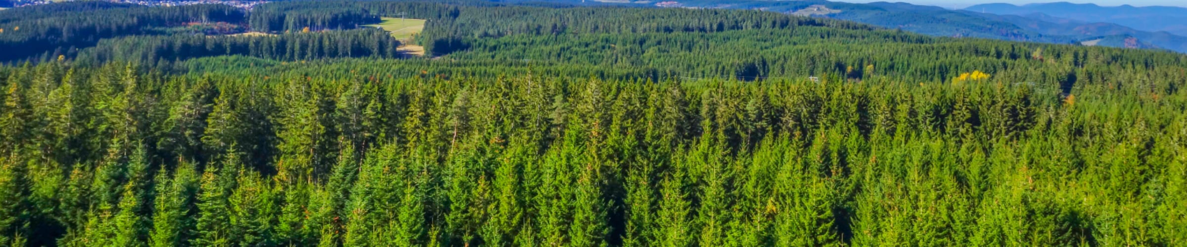 Black Forest Solar GmbH cover image