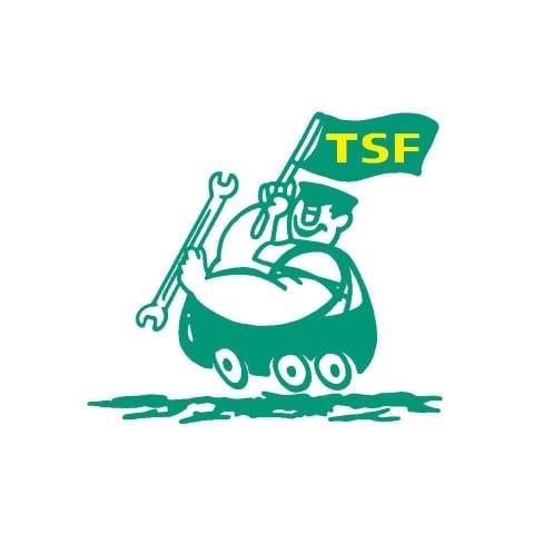 TSF Technik Service Feldgeding GmbH
