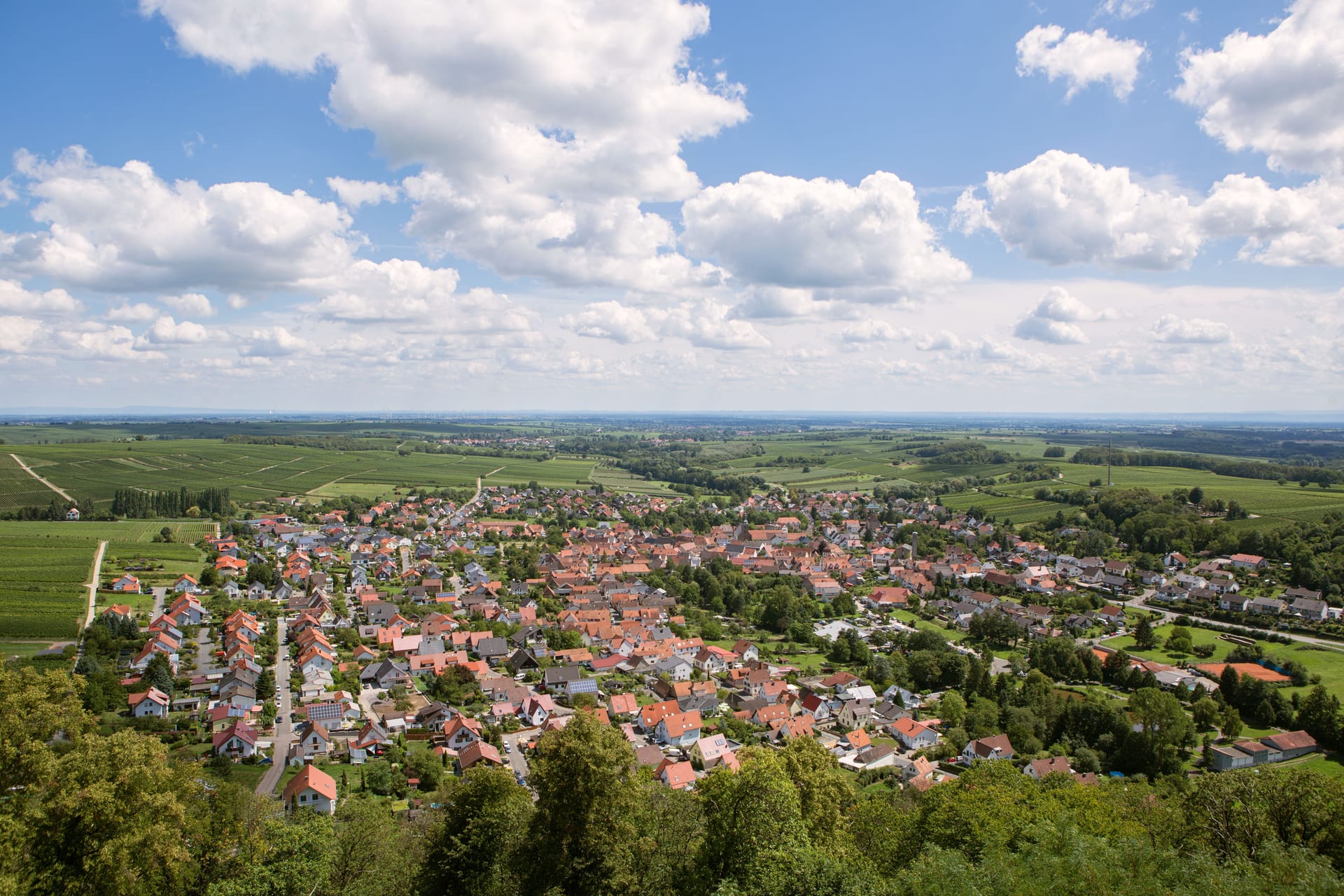 Jobbörse Landkreis Südliche Weinstraße
