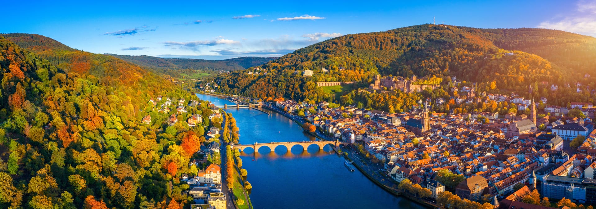 Jobbörse Rhein-Neckar-Kreis