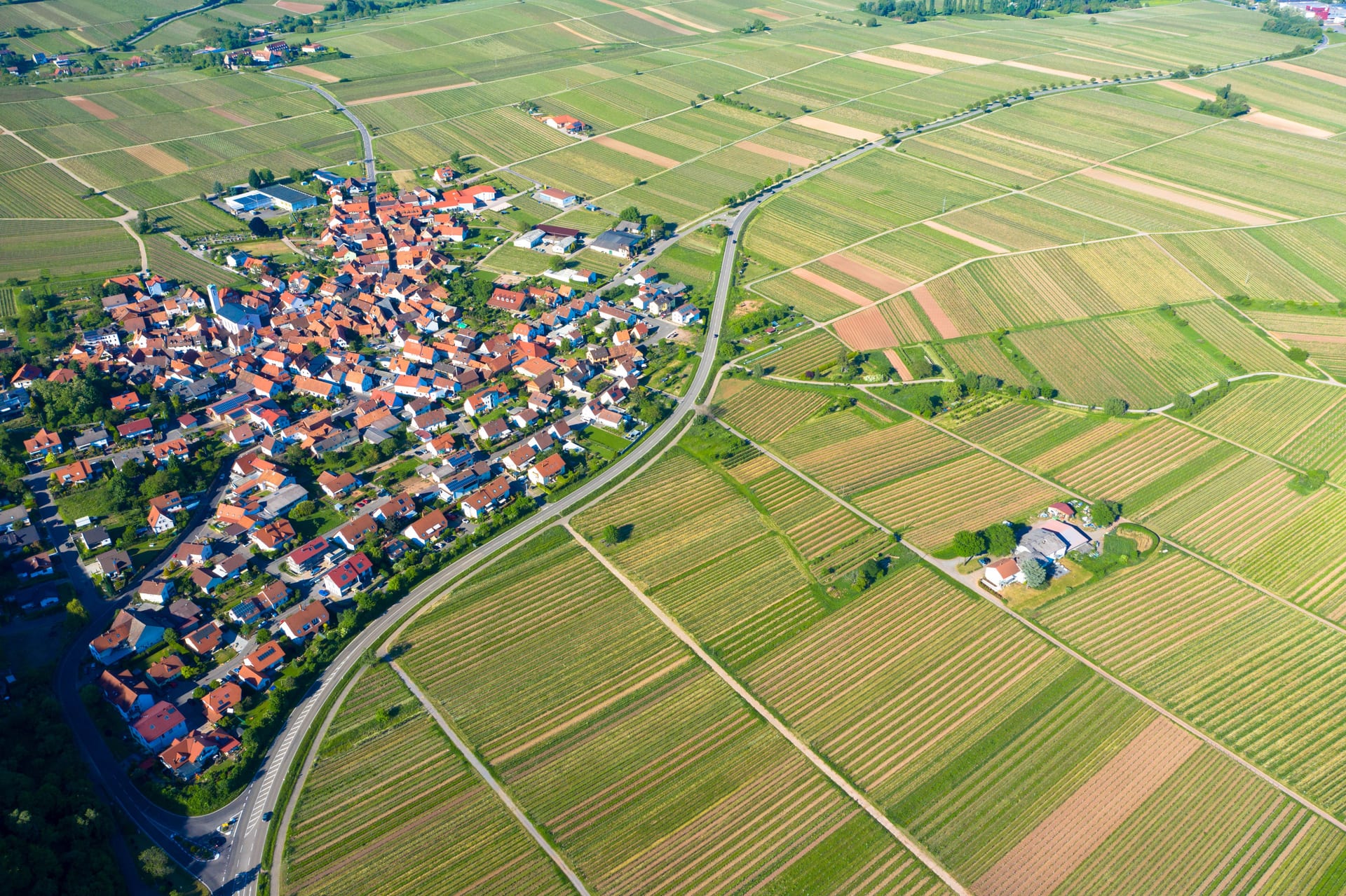 Jobbörse Landau in der Pfalz