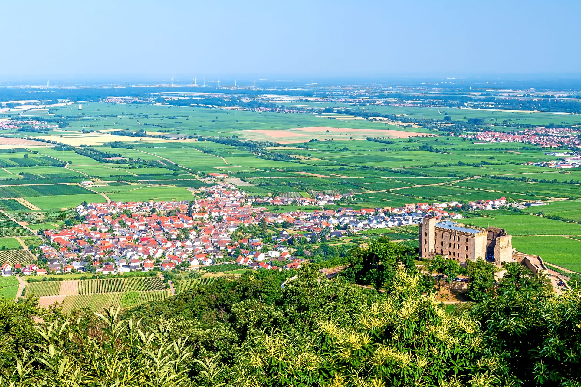 Jobbörse Neustadt an der Weinstraße